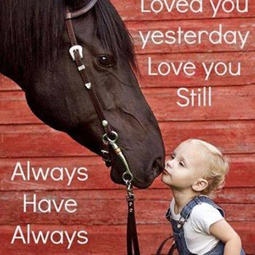 Meet your Posher, Carol